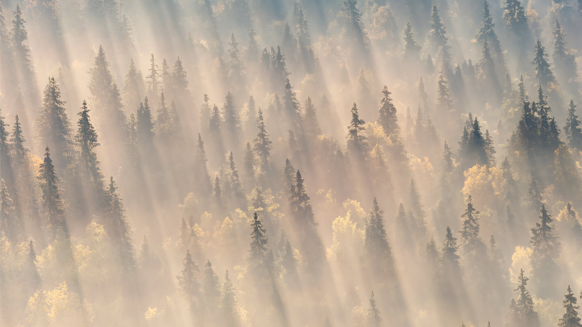 Praktijk Zuiver Welzijn weer in opbouw.